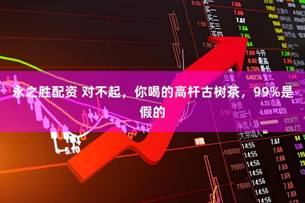 永之胜配资 对不起，你喝的高杆古树茶，99%是假的