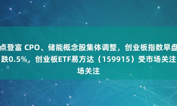 点登富 CPO、储能概念股集体调整，创业板指数早盘跌0.5%，创业板ETF易方达（159915）受市场关注